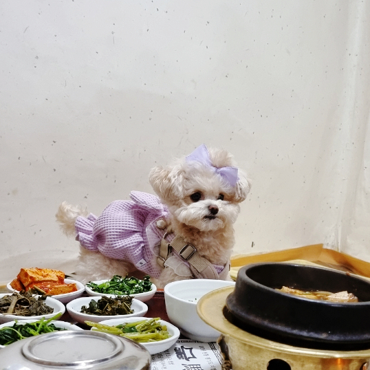 하남 맛집 | 애견동반가능 하남스타필드 근처 한정식집 '마방집' 주말 웨이팅