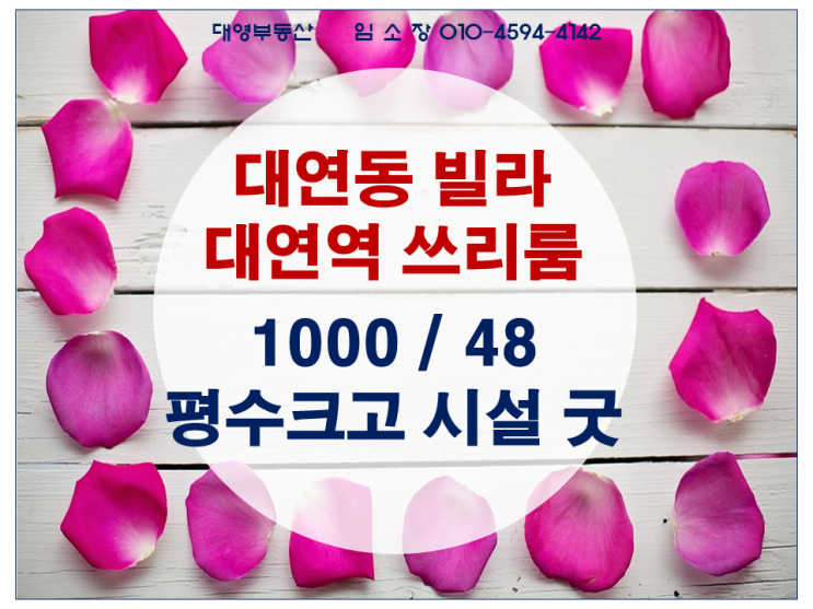  대연동 빌라 쓰리룸 전월세 평수크고 가격 저렴해요.1000-48 대연역 7분거리