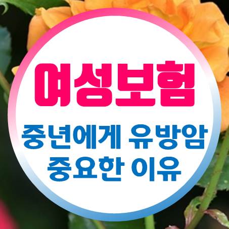  유방암이 40대여성암보험 추천할 때 가장 중요한 이유