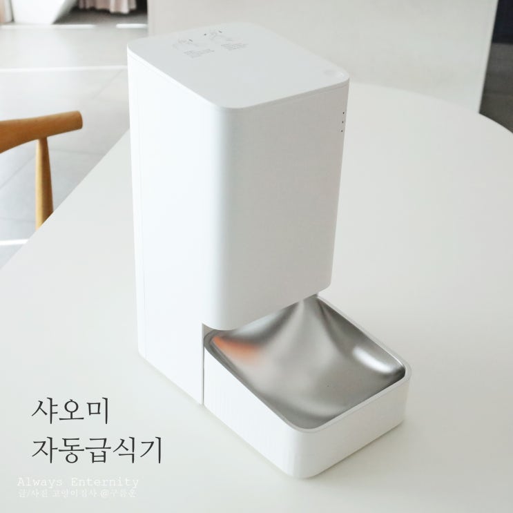  고양이 자동급식기, 샤오미 진즉 살걸! 내돈내산 사용 후기