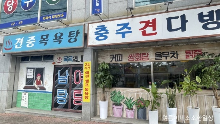  충주 성서동 견중목욕탕 셀프목욕 애견목욕 갔다왔어요..