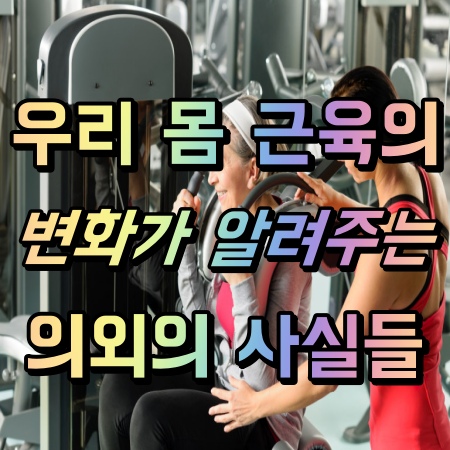  [영등포헬스장 / 영등포PT / 영등포에이블짐] : 우리 몸 근육의 변화가 알려주는 의외의 사실들