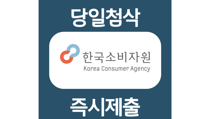 한국소비자원 신입 자기소개서 항목 자소서 문항 작성방법 첨삭받기 한국소비자원 신입 자기소개서 항목 자소서 문항 작성방법 첨삭받기
