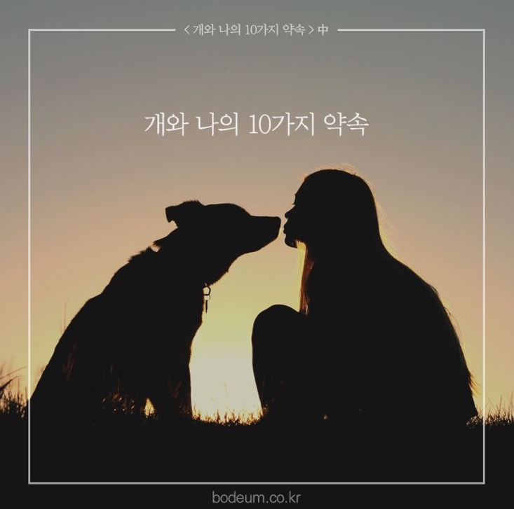  영화<개와 나의 10가지 약속> 대형견 골든리트리버 영화(리뷰) 정보 줄거리 / 강아지 키우는 반려인의 마음가짐에 대한 영화