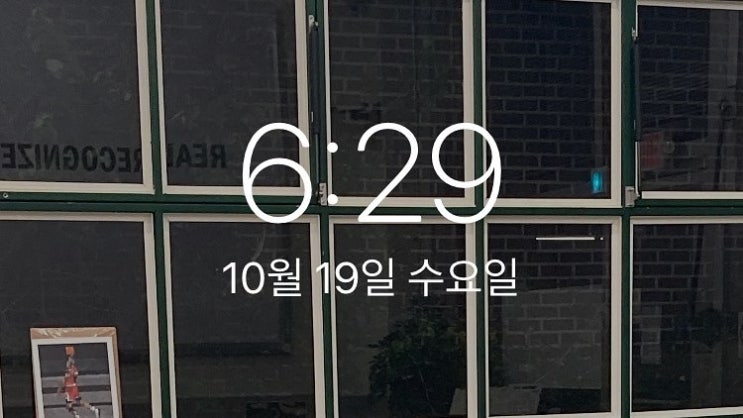  [요가일기 29] 어제와는 또 다른 나를 느끼며