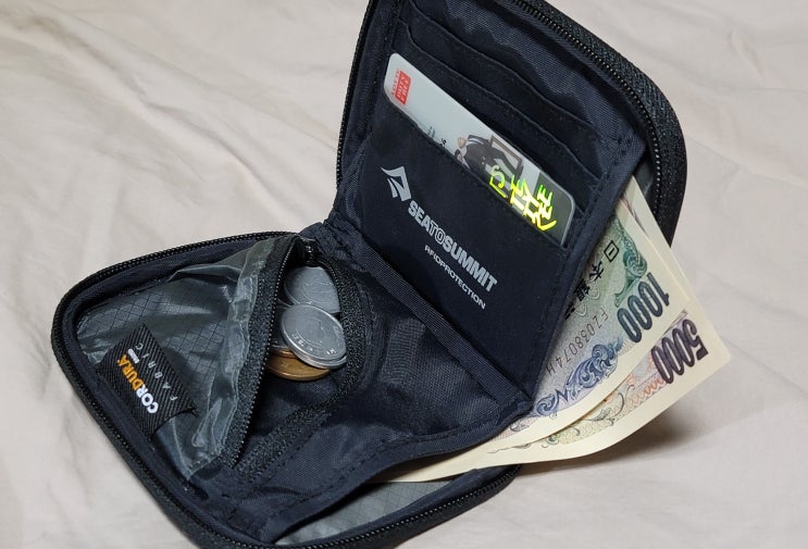 내돈내산 해외 여행용 지갑 추천!! 신용카드 디지털 도난 방지용 '씨투써밋 트래블 월렛 RFID SM 지갑'