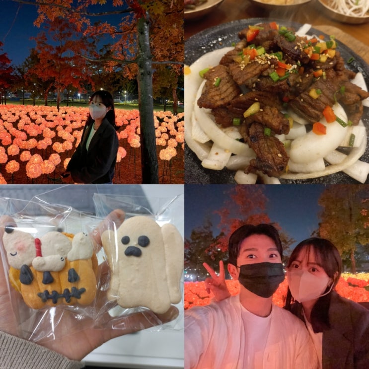  급추워진10월1-2주차 일상 청주카페아리아/세종중앙공원/LED수국꽃정원/동남지구샤브매니아/오창꾸본석갈비