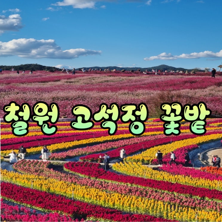 철원 고석정 꽃밭 상상초월ㅣ 주차 입장료 깡통열차 애견동반 등 정보 모음