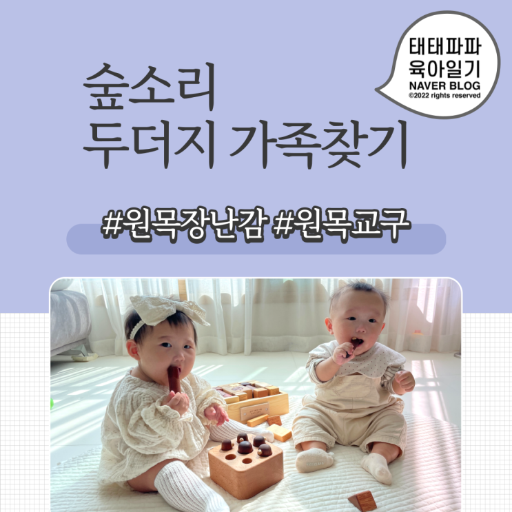  숲소리 두더지 가족찾기, 천연 원목 교구 장난감