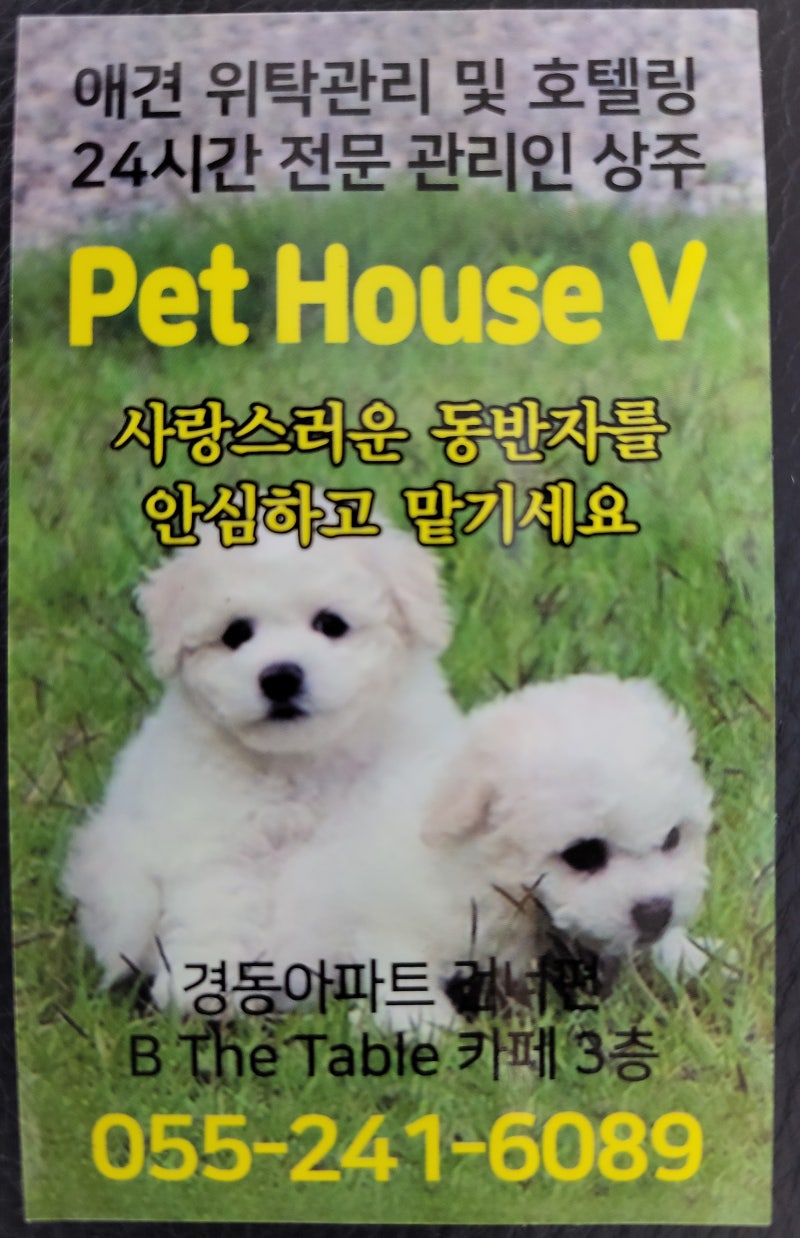 사진 5