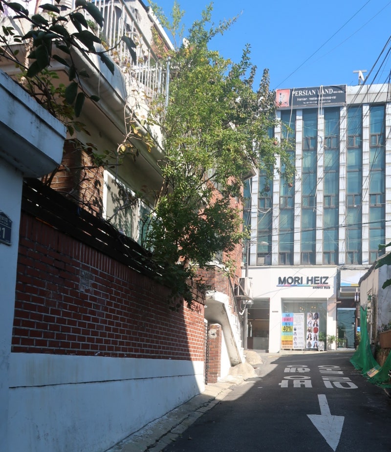 모리헤이즈(서대문점) 사진