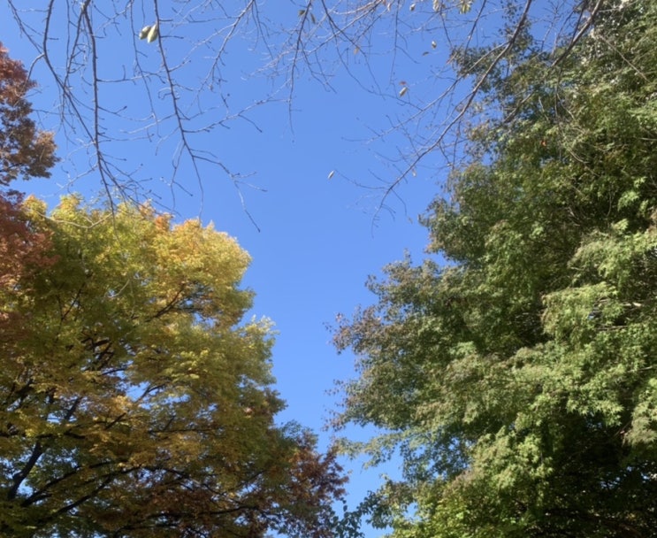  [일기] 2022.10.19 수요일