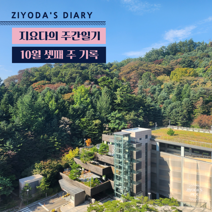  10월 셋째 주 기록 (10/10~10/16_바쁜 한 주였다,,)