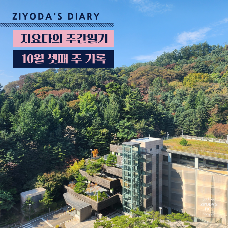 10월 셋째 주 기록 (10/10~10/16_바쁜 한 주였다,,)