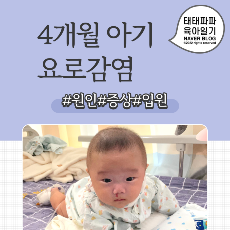  소아 요로감염, 원인과 증상 쌍둥이 교정 3개월차 입원 일기
