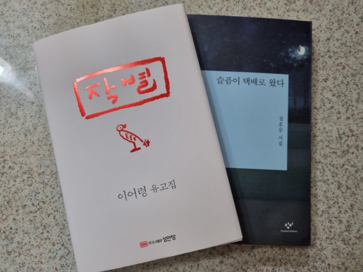  [일상] 쌀쌀한 날씨를 핑계 삼아 충동구매를 했다ᐠ( ᑒ ) ᐟ