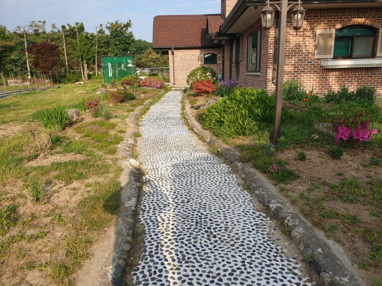 검찰, <b>이재명</b> 최측근 <b>김용</b> 체포 / 남궁훈 카카오 대표, ‘먹통... 