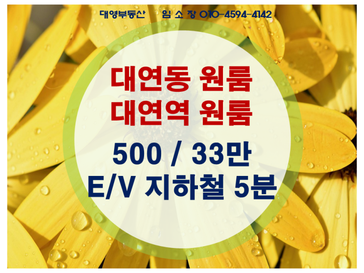  대연동 원룸 엘베있고 깔금한 방 500-33