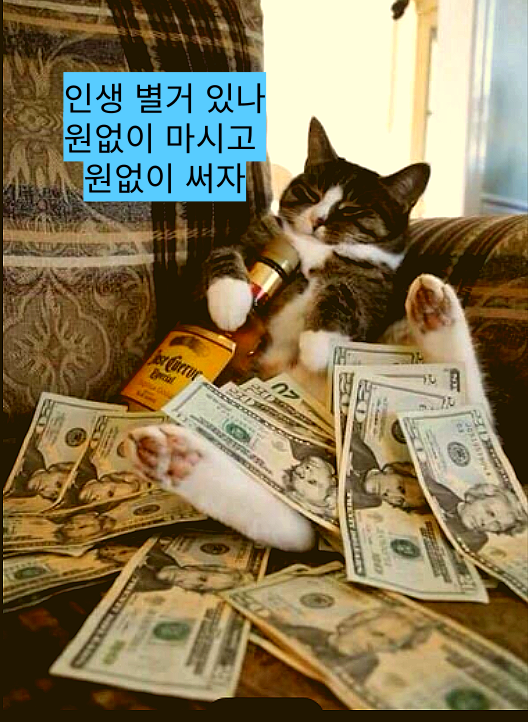  말풍선 짤  64