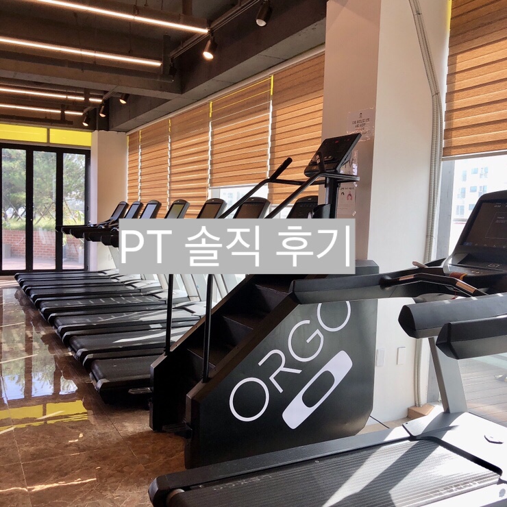  내돈내산 | 조치원 헬스장 | 인더썬 PT 가격 및 솔직 후기