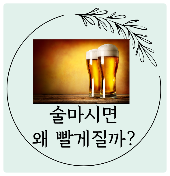  술을 마시면 얼굴이 왜 빨개질까. 물과 녹차 강력 추천