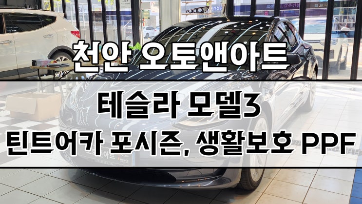  천안 아산 테슬라 모델3 썬팅, 틴팅, 발수코팅, 생활보호 PPF까지 (평택 안성 진천 세종 공주에서도 찾으시는 테슬라 전문점)