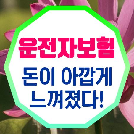  사실 나는 운전자보험소멸성 가입 후에 보험료가 아깝다고 생각했다.