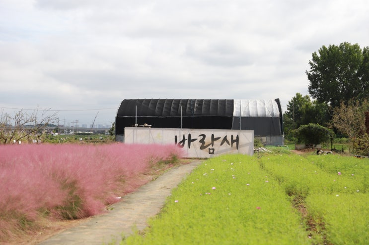  평택여행(바람새마을,창내2리다목적회관,돼지양념구이,프리퍼카페)