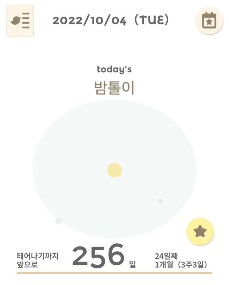  #00 임신 4주 화학적 유산의 기록 (밤톨이의 일주일)