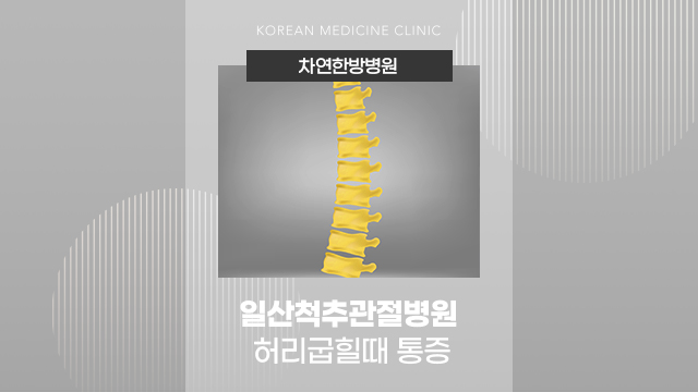 일산척추관절병원 허리굽힐때 통증 하지저림까지