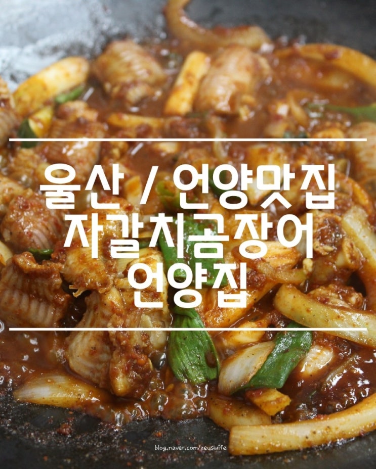  언양에서 중앙시장 강남곰장어 대박집맛 그대로 즐기고 왔어요