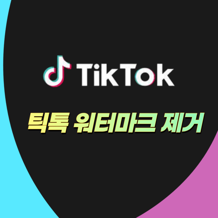  [틱톡 워터마크 지우기] 로고 제거 후 영상 다운로드 받는 방법