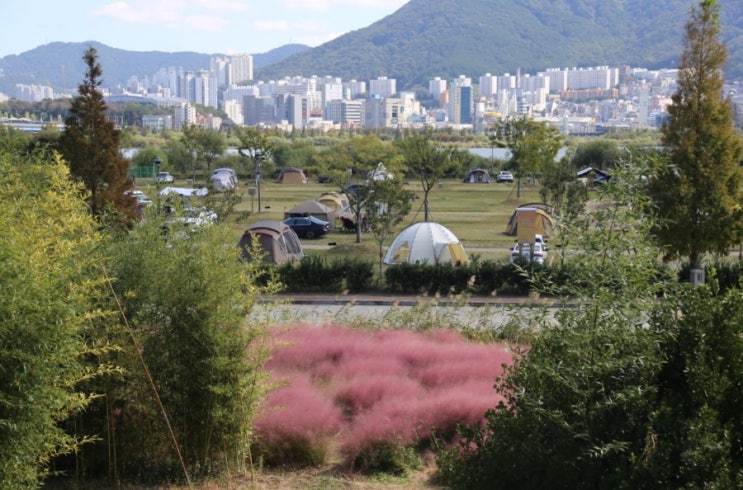  부산 대저캠핑장, 캠핑요리, 예약방법, 예약 팁, D구역 사이트