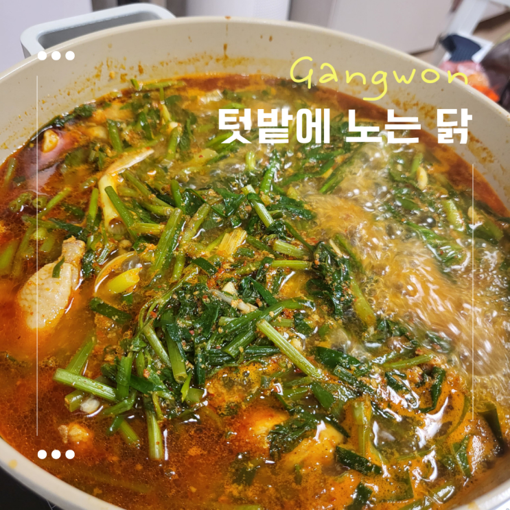  [강원도 삼척]::텃밭에 노는 닭:: 텃밭을 노는 닭 텃밭을 나온 닭 택배후기
