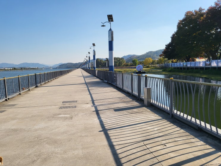  충주중앙탑사적공원 대형견 래브라도리트리버 동반여행 기본정보 입장료 주차 가을여행 가을낙엽 충주가볼만한곳
