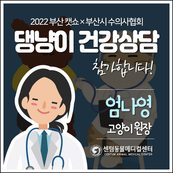 2022 부산 캣쇼×부산시 수의사협회 댕냥이 건강상담 참가합니다 / 엄나영 고양이 원장 (센텀동물메디컬센터)