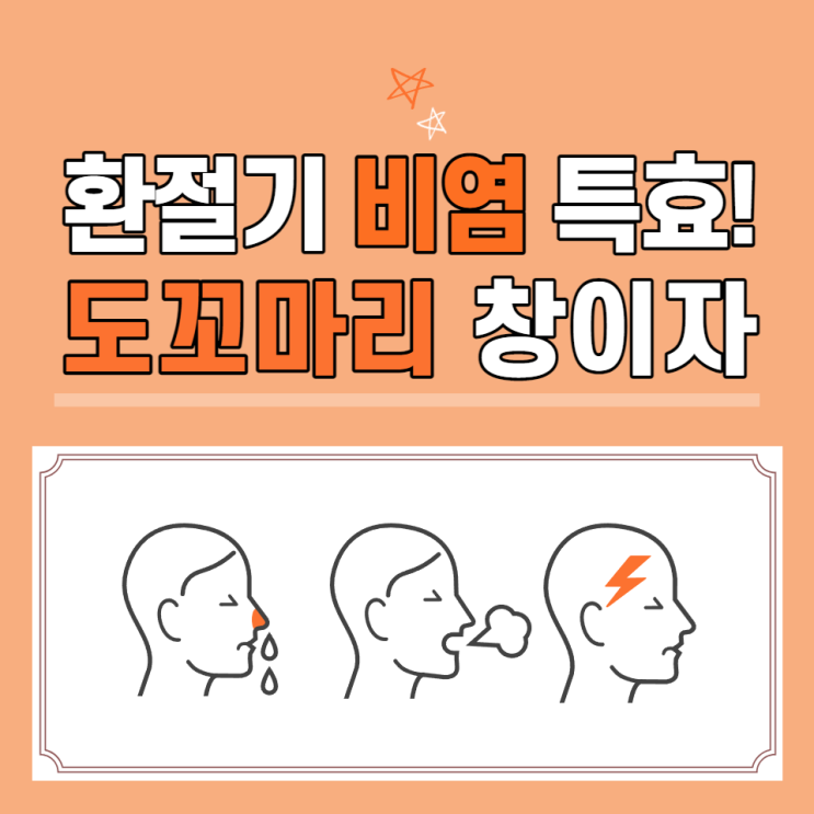 도꼬마리 효능 축농증 알레르기 비염에 특효 도꼬마리 열매 창이자 먹는법 도꼬마리 효능 축농증 알레르기 비염에 특효 도꼬마리 열매 창이자 먹는법