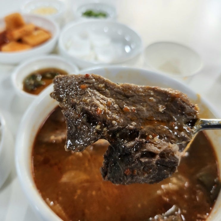  신논현역 맛집 한우 육개장 퀄리티 비교불가 혜장국
