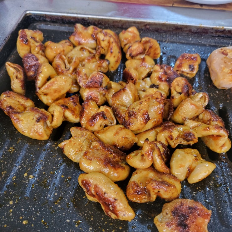  [대구 맛집] 쯔양도 다녀간 대구안지랑곱창골목 맛집 '홍림곱창'