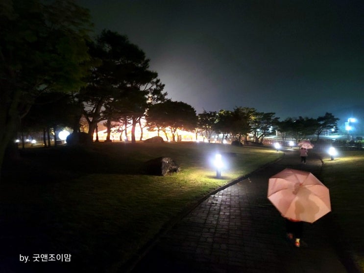 충주 여행-우중 밤산책 (2021년 10월 15일) 충주 여행-우중 밤산책 (2021년 10월 15일)