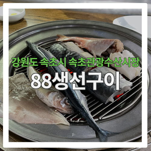 [속초 맛집] 신기한 생선구이집 " 88생선구이"