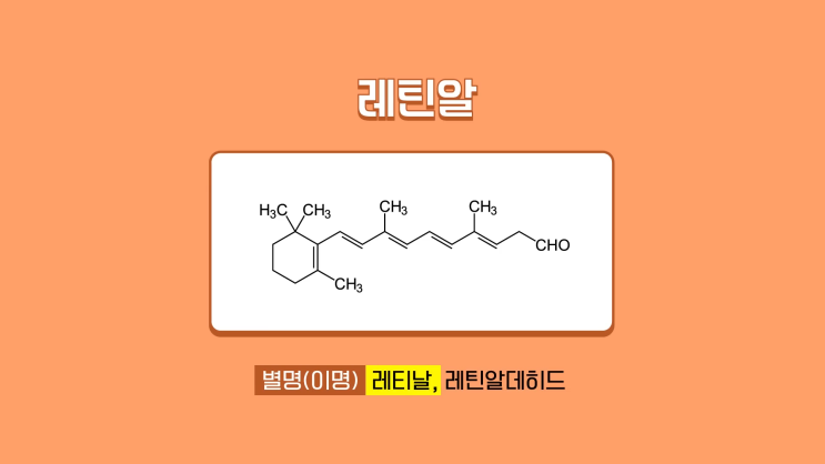  화장품 성분 사전 안언니의 레틴알(레티날) 레티놀 효능과 차이
