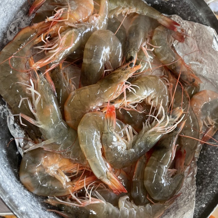  고성 병산 수산 새우구이