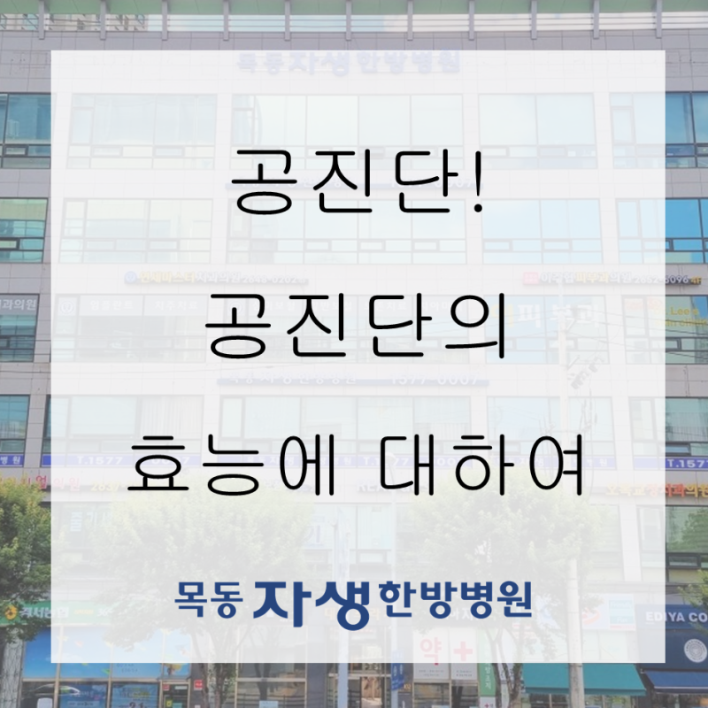 양천구한방병원에서 알려드리는 공진단의 효능! 요즘 대세인 드라마 "슈룹"에서도 나온 공진단!