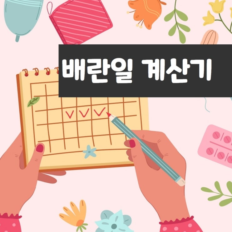 배란일 계산기, 난자의 생존 기간을 말해요 배란일 계산기, 난자의 생존 기간을 말해요