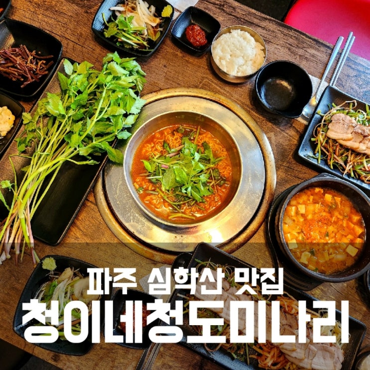 파주 문산 심학산 삼겹살 맛집 청이네 청도 미나리 삼겹 존맛탱