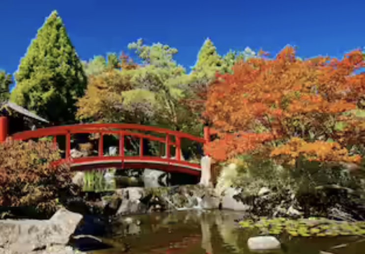 신나는 호주 여행  Tasmania Hobart 태즈매니아 호바트 여행 2탄 입니다.