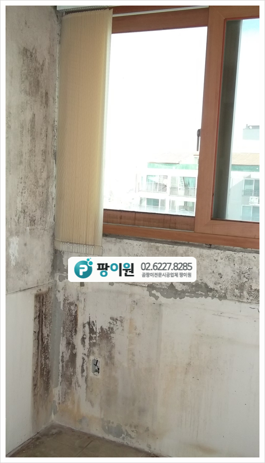  아파트 곰팡이제거 업체 전문 해결!