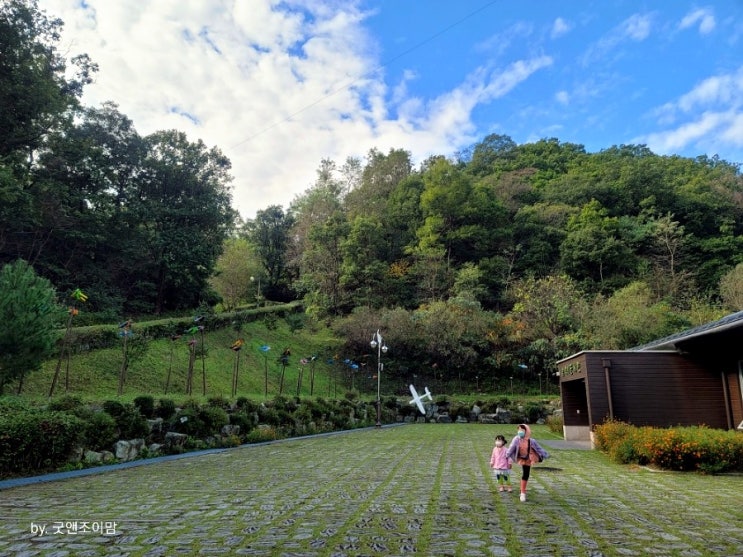 충주 문성자연휴양림(2021년 10월 15일부터 16일까지) 충주 문성자연휴양림(2021년 10월 15일부터 16일까지)