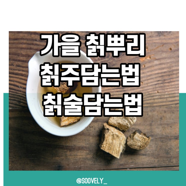 가을칡뿌리 칡주 담는법 칡으로술담는법